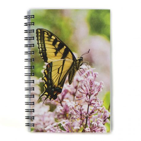 Butterfly – Notebook