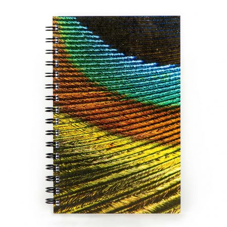 Peacock Feather – Notebook